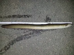 Amalienhütter Weiher-2