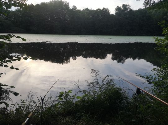 Amalienhütter Weiher-3