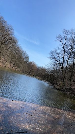 Aschbachweiher (Gersweiler)-1