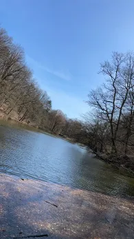 Aschbachweiher (Gersweiler)-1