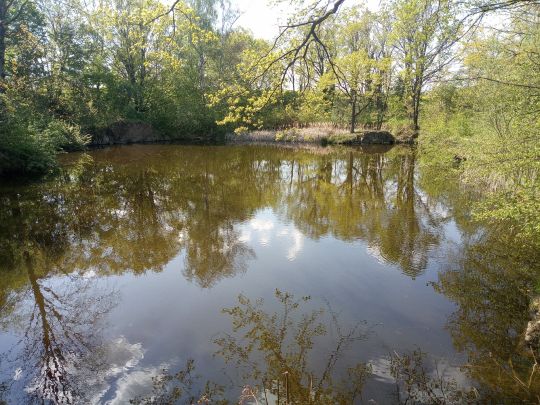 Steinbruch (Lampersdorf)