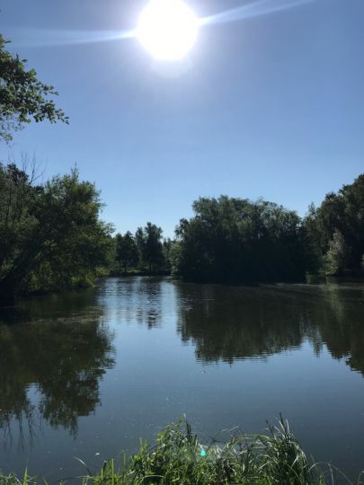 Kiesgrube (Denstorf)-3