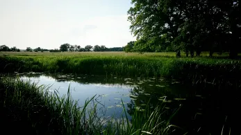 Königsgraben (Böhne)-0