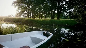 Königsgraben (Böhne)