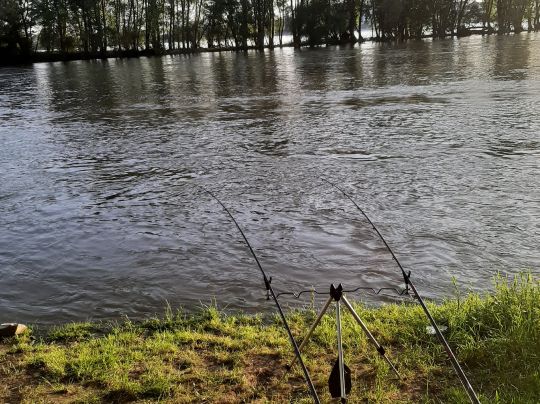 Herseler Werth (Hersel)-3