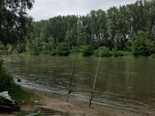 Herseler Werth (Hersel)-4