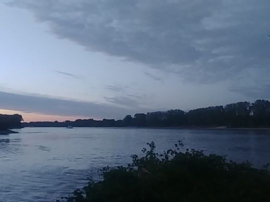 Rhein (Gimbsheim - Kühkopf)-2