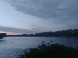 Rhein (Gimbsheim - Kühkopf)-2