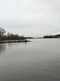 Rhein (Gimbsheim - Kühkopf)-3