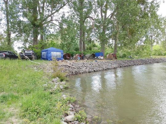 Rhein (Gimbsheim - Kühkopf)-1