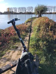 Rhein (Gimbsheim - Kühkopf)