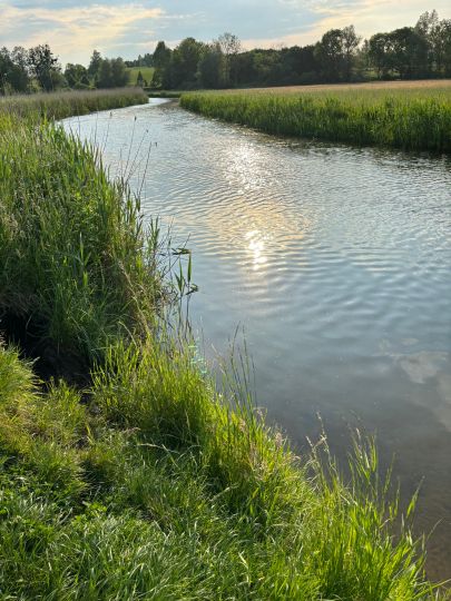 Tollense (Woggersin)-1