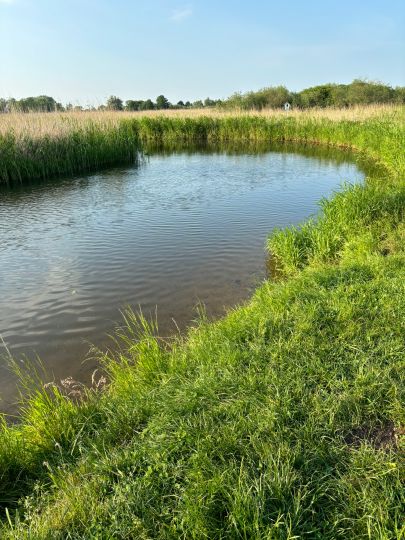 Tollense (Woggersin)-3