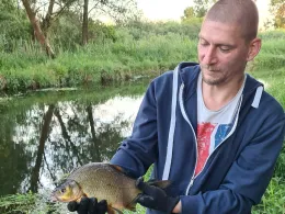 Tollense (Woggersin)