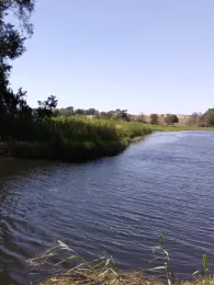 Tollense (Woggersin)-2