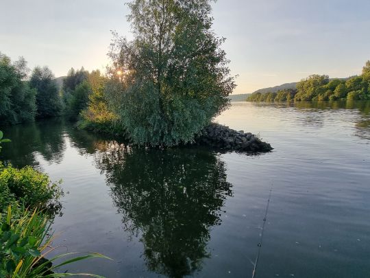 Mosel (Konz)-1