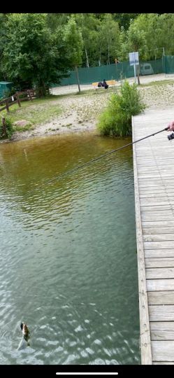 Weinzierlweiher