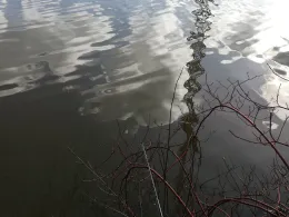 Mühlenkampkanal (Hamburg)