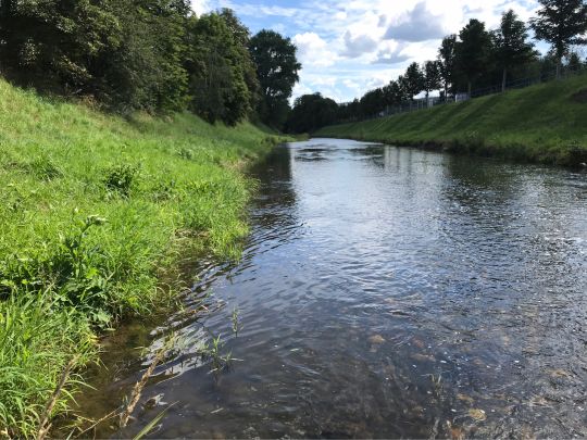 Weiße Elster (Plauen)-3