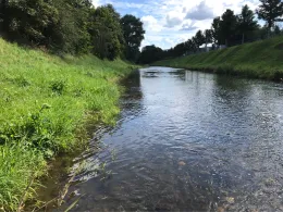 Weiße Elster (Plauen)-3