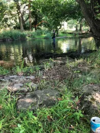 Weiße Elster (Plauen)-2