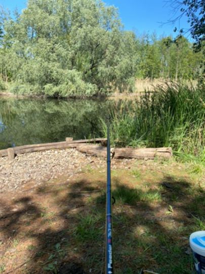 Altrhein Eggenstein-1