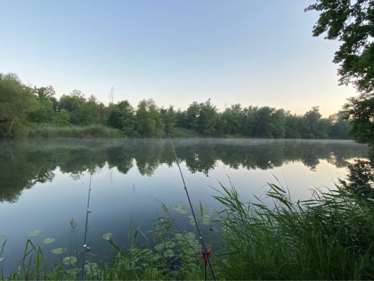 Altrhein Eggenstein-2