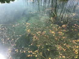 Angelparadies Güfel-1