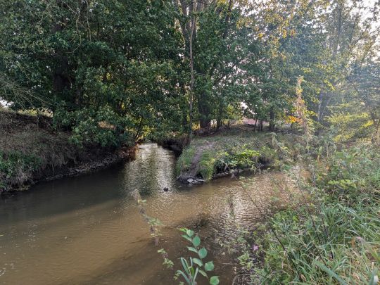 Gersprenz (Hergershausen)-1