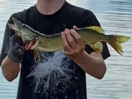 Baggersee Neureute-1