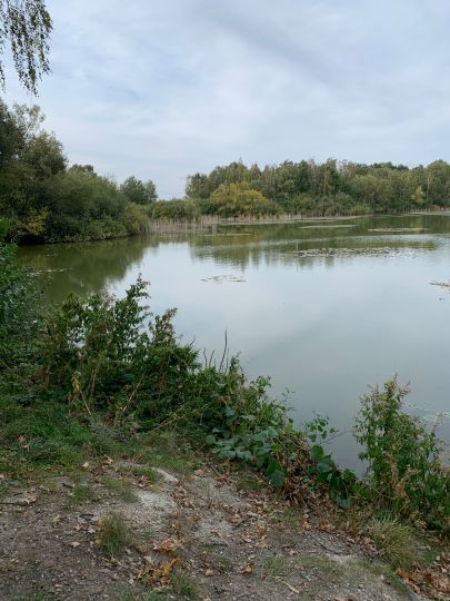 Münchteich (Grimma)-3