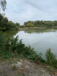 Münchteich (Grimma)-3