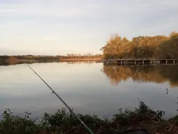 Münchteich (Grimma)-2