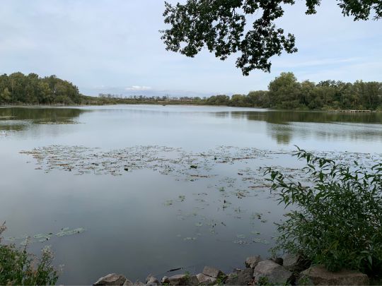 Münchteich (Grimma)-1