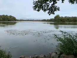 Münchteich (Grimma)-1