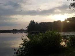 Münchteich (Grimma)