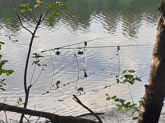 See am Altersheim (Warsingsfehn)-3