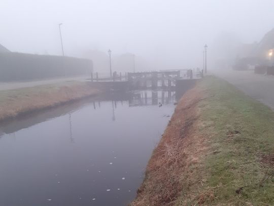 See am Altersheim (Warsingsfehn)-2