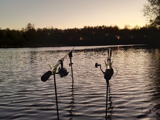 See am Altersheim (Warsingsfehn)