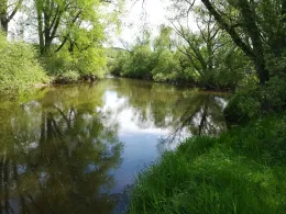 Fulda (Alheim-Heinebach)-1