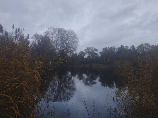 Steuerbruch (Herzfelde)-1