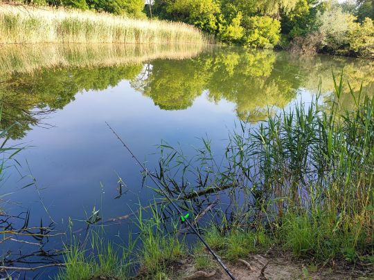 Steuerbruch (Herzfelde)-4