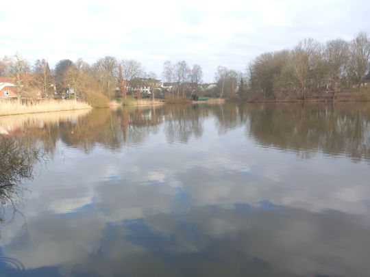 Neuhofer Teich (Reinfeld)-3