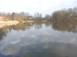 Neuhofer Teich (Reinfeld)-3