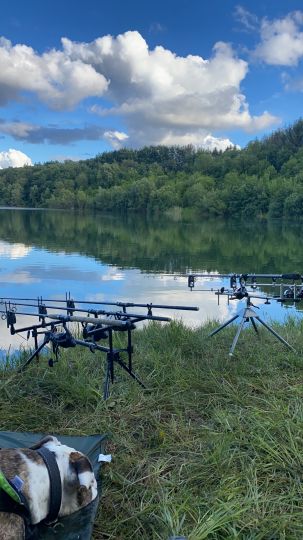 Neuhofer Teich (Reinfeld)-1