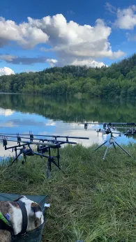 Neuhofer Teich (Reinfeld)-1