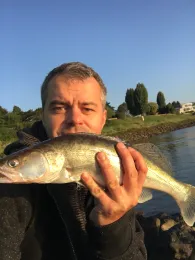 Rhein (Stürzelberg)-1