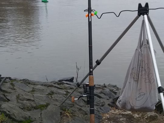 Rhein (Stürzelberg)