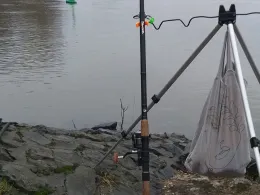 Rhein (Stürzelberg)