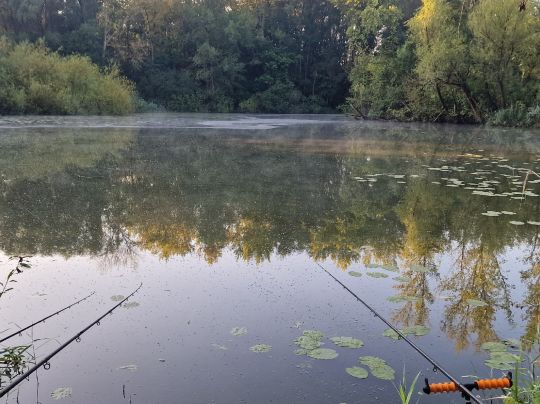 Großer Hemminger Teich ALLE ANGELN